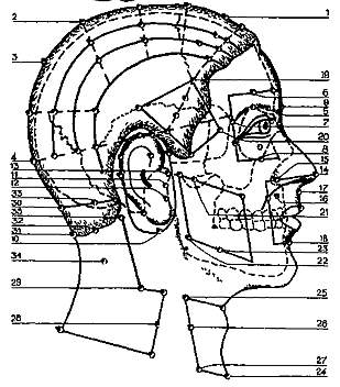 Рис. 5. Акупунктурные точки в области головы и шеи.