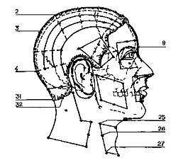 Рис. 10. Акупунктурные точки при бессоннице
