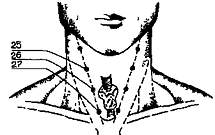 Рис. 11 . Акупунктурные точки при бессоннице (метод шиацу).