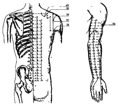 Рис. 37. Акупунктурные точки при болях в шейно-плечевой