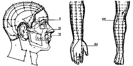 Рис. 69. Акупунктурные точки при насморке