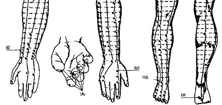 Рис. 75. Акупунктурные точки при обмороке