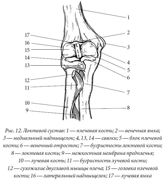        13.