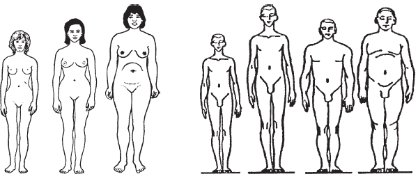 Рис. 1. Типы конституции (Целит. силы, Здоровье пожилых, с. 24)