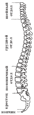 Рис. 2